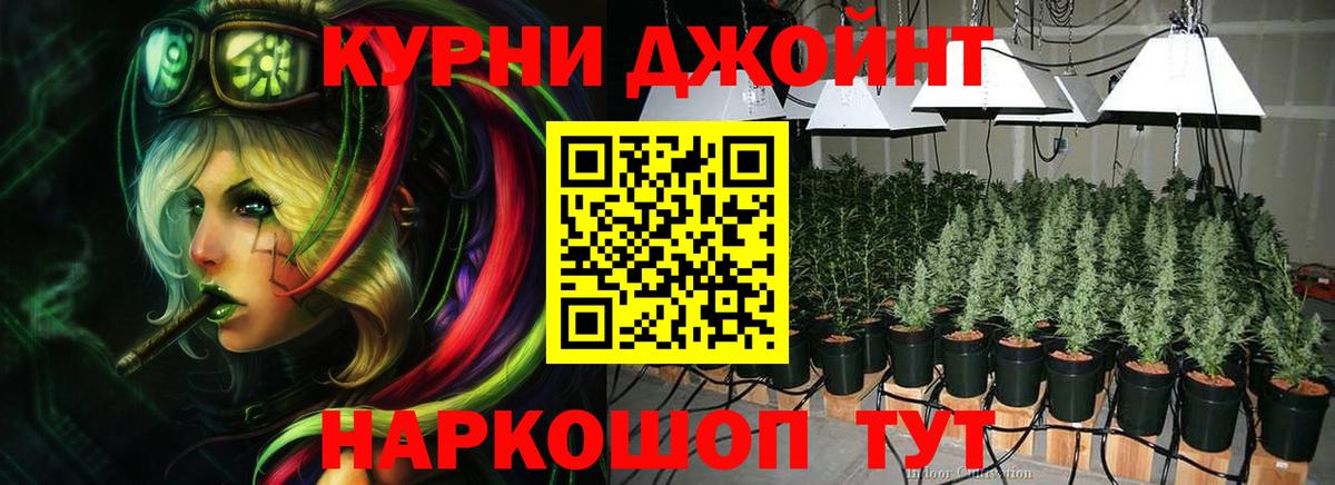 Канабис планчик Нальчик